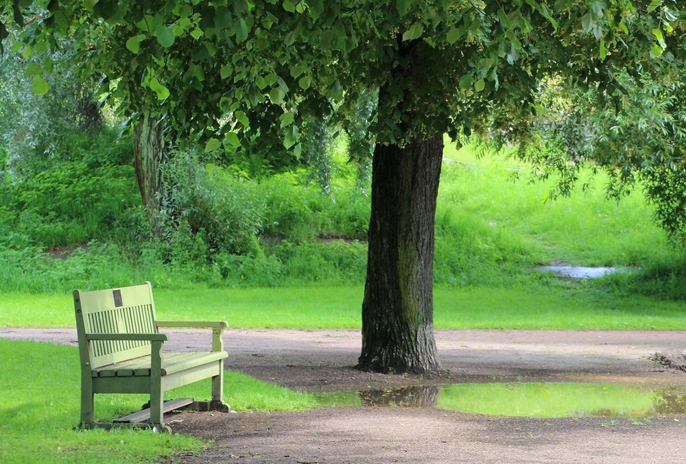 Kaivopuisto – park üksinduse nautimiseks