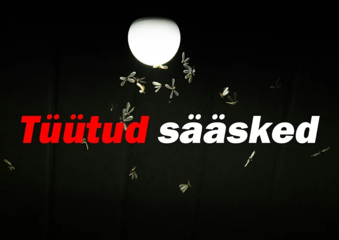 Kuidas vabaneda toatoas lendavatest murelastest ja äädikakärbestest